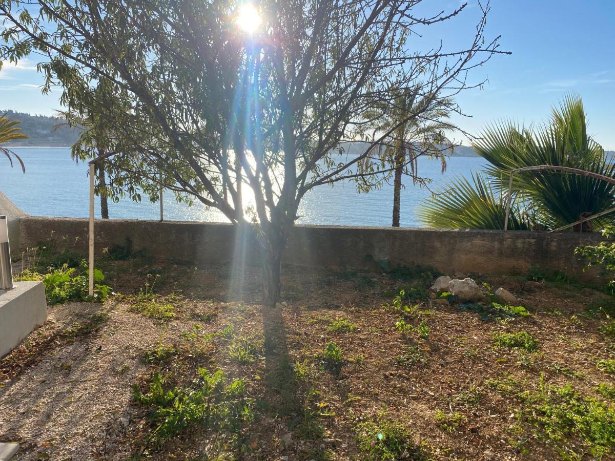 Splendide Studio Miramar Vue Mer Avec Terrasse Bandol Luaran gambar